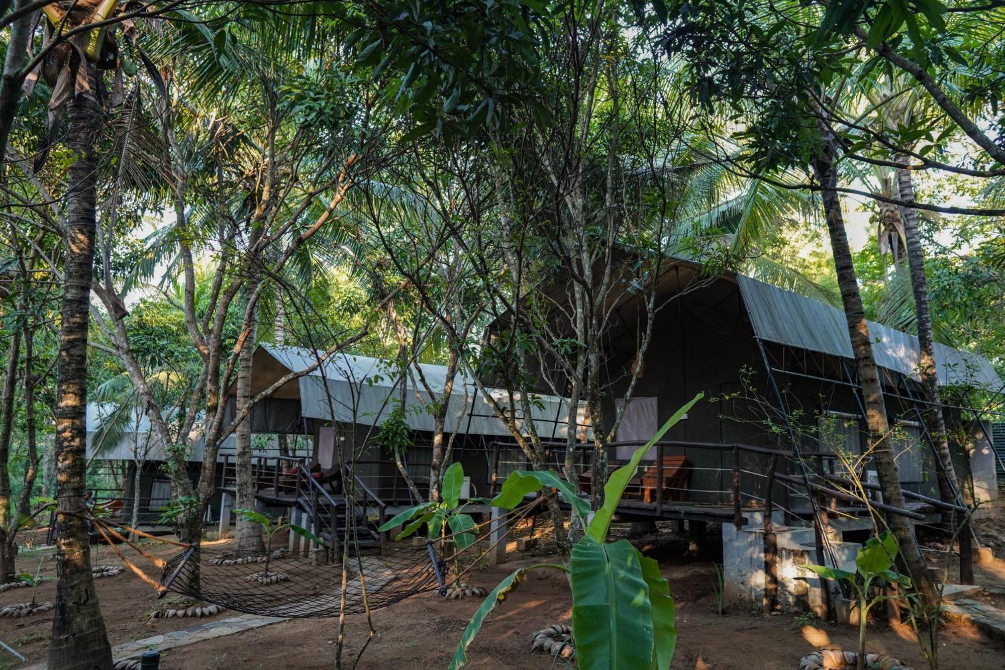 River Glamping By Gaga Bees Udawalawe Eksteriør bilde