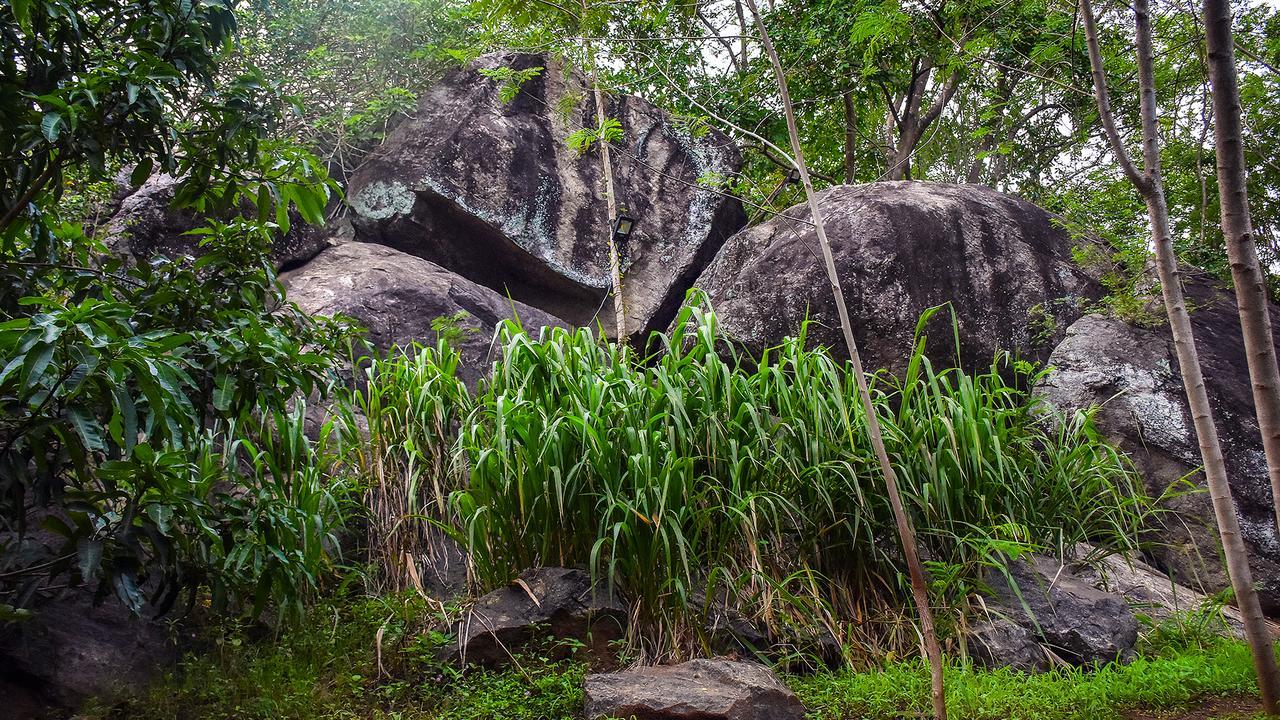 River Glamping By Gaga Bees Udawalawe Eksteriør bilde