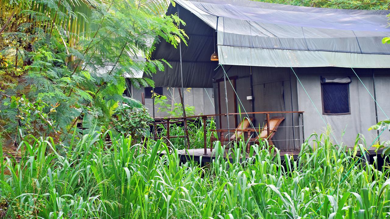 River Glamping By Gaga Bees Udawalawe Eksteriør bilde