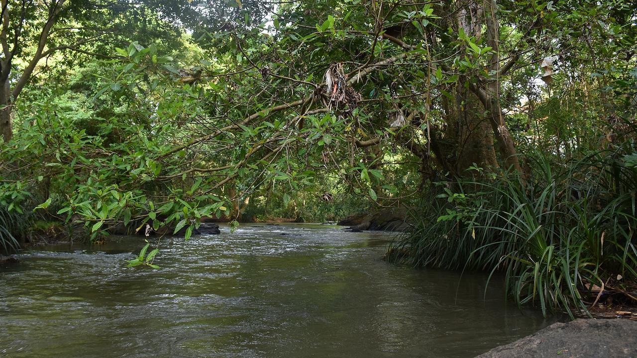 River Glamping By Gaga Bees Udawalawe Eksteriør bilde