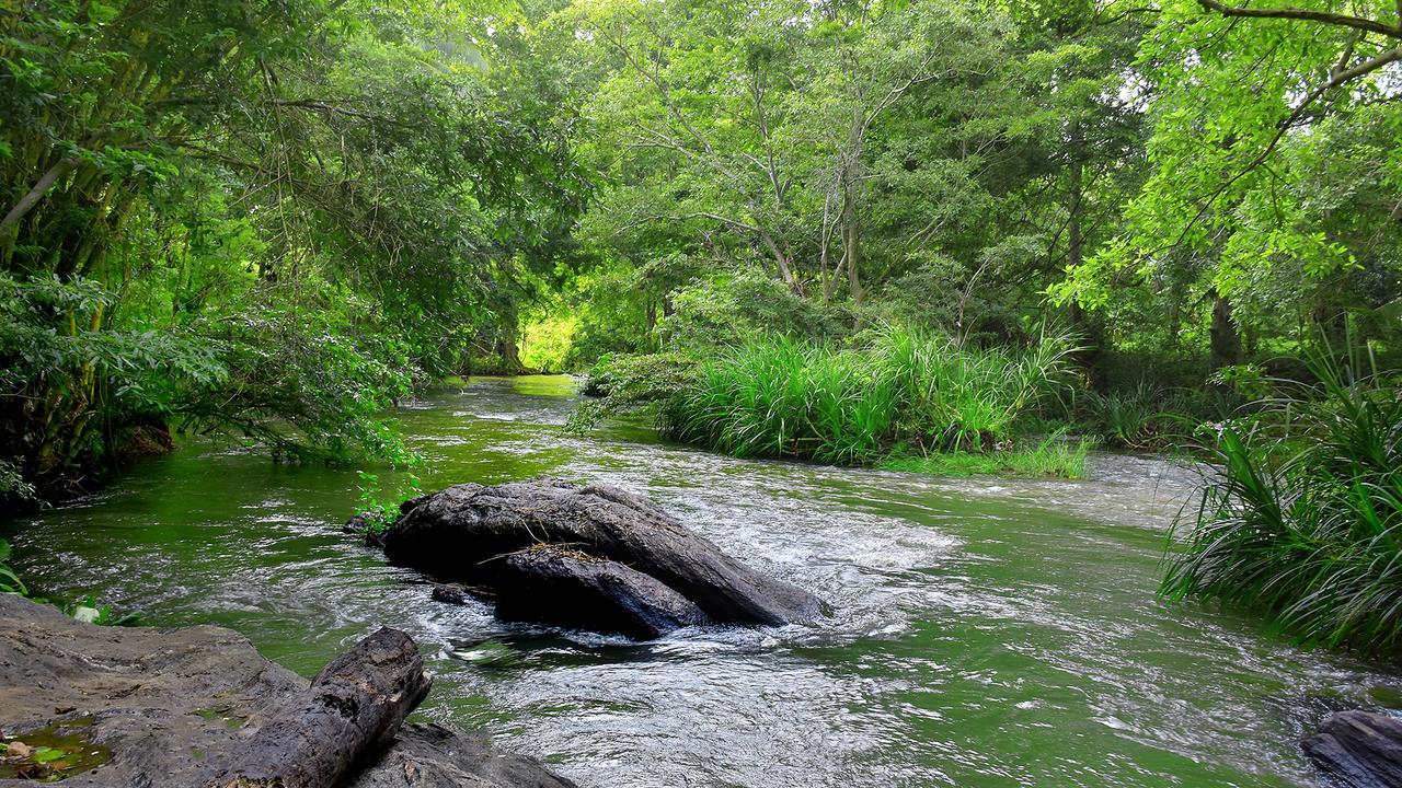 River Glamping By Gaga Bees Udawalawe Eksteriør bilde