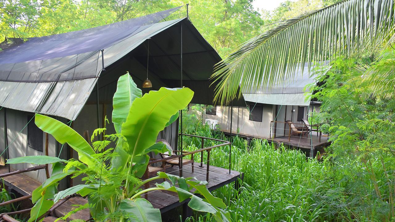 River Glamping By Gaga Bees Udawalawe Eksteriør bilde